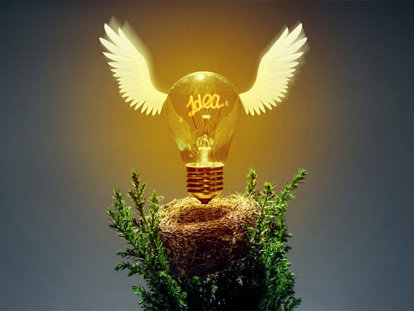 TAILOR MADE INNOVATIVE SOLUTIONS